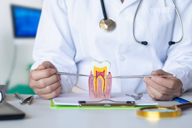 Best Emergency Gum Treatment in East Pepperell, MA